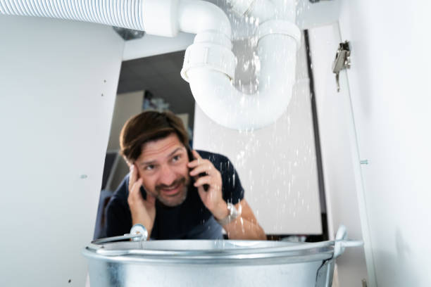 Best Affordable Plumbing Services  in Pines Lake, NJ